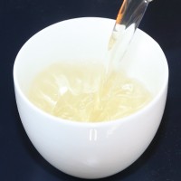 2024廣西橫縣特種茉莉花茶白玉螺九窨嫩芽濃香型茶葉全單芽批發(fā)